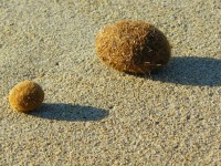 我沒有「自我價值」