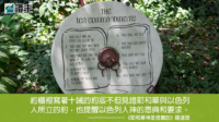 閱讀好書：耶和華神是信實的