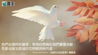 閱讀好書：迎向甘苦的服侍