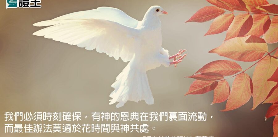 閱讀好書：迎向甘苦的服侍
