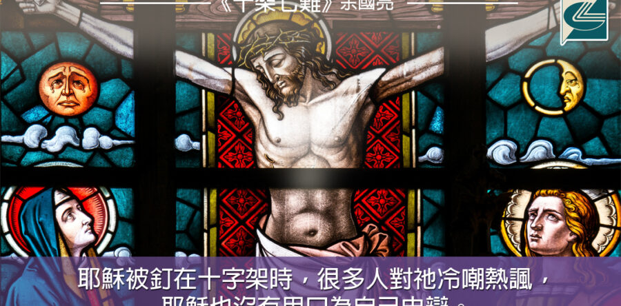 閱讀好書：十架七難2