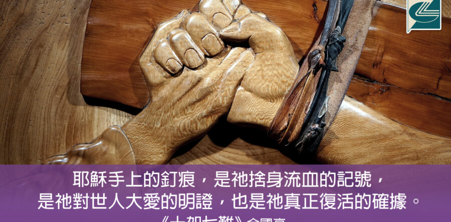 閱讀好書：十架七難3