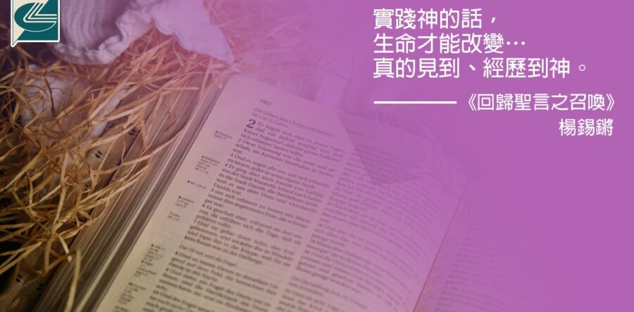 閱讀好書：回歸聖言之召喚3