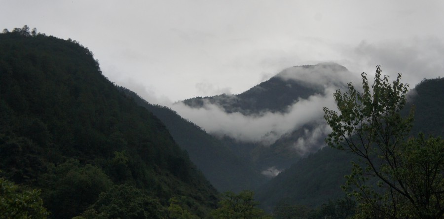 高山低谷的學徒