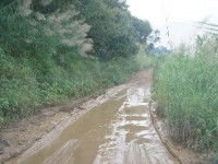 泥濘道路 — 探訪西南區少數民族傳道人