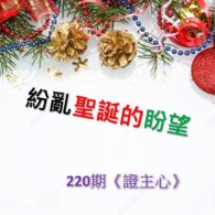 紛亂聖誕的盼望