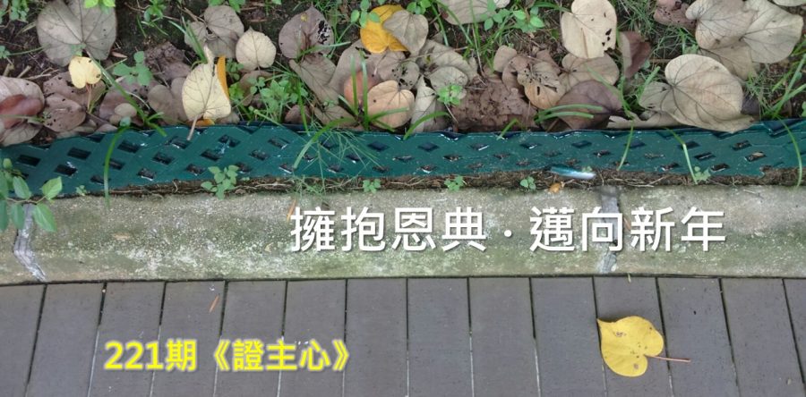 《證主心》221期：擁抱恩典．邁向新年