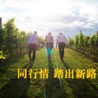 同行情 踏出新路徑