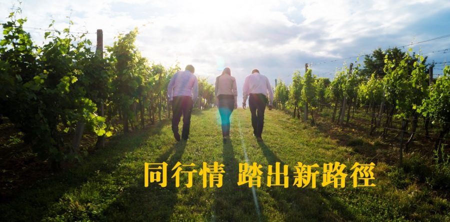 同行情 踏出新路徑
