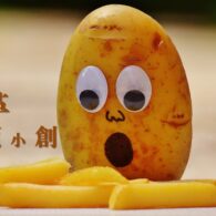 《證主心》231期：變革預小創
