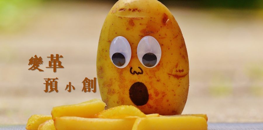 《證主心》231期：變革預小創