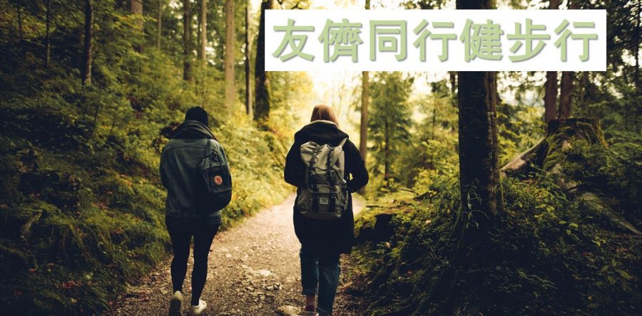 《證主心》233期：友儕同行健步行