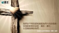 閱讀好書：弦動我心的快樂聖誕