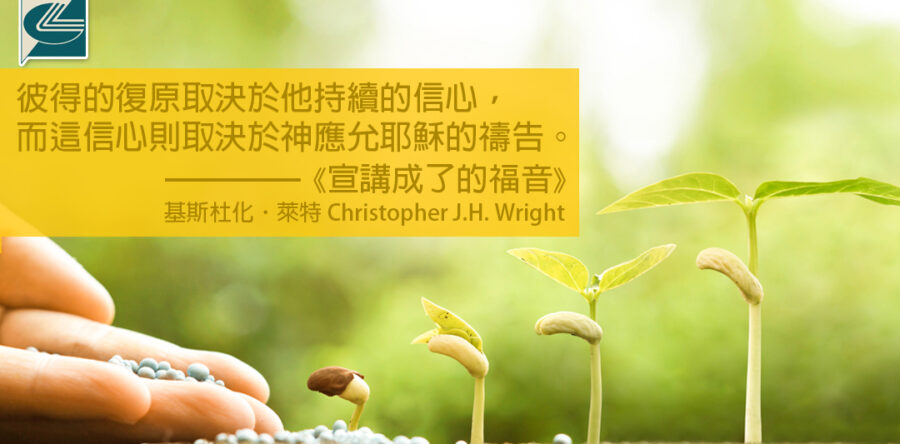 閱讀好書：宣講成了的福音2