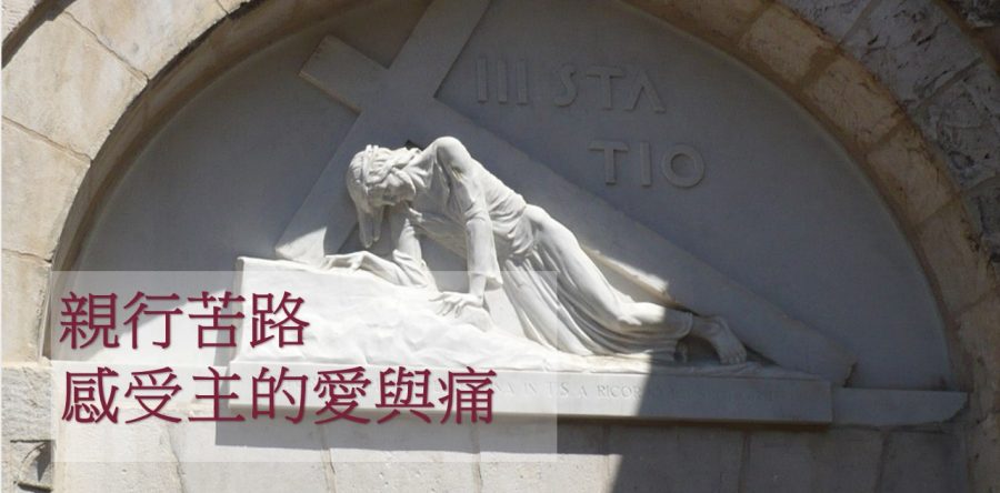 《證主心》242期：培訓事工
