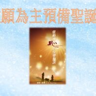 《證主心》243期:封面