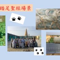 《證主心》246期:回應之聲