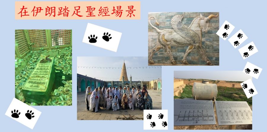 《證主心》246期：回應之聲