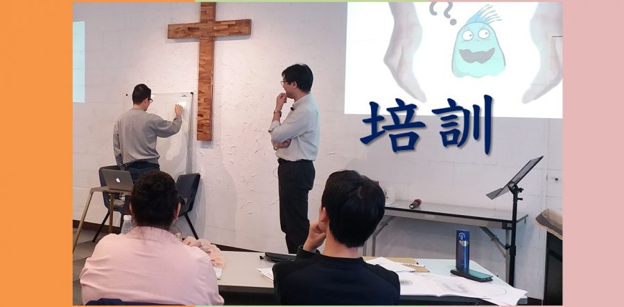 《證主心》247期：事工情報