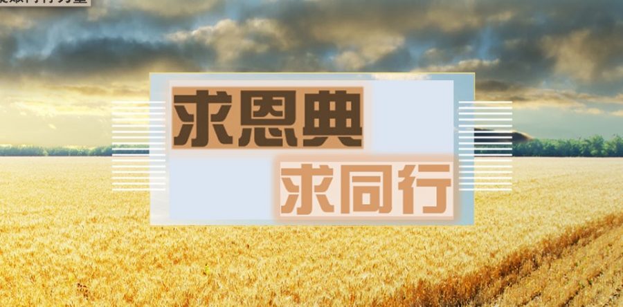 《證主心》247期：凝聚同行力量