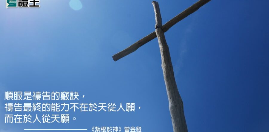 閱讀好書：紮根於神