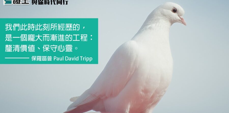 與你時代同行:3.29晨恩日新