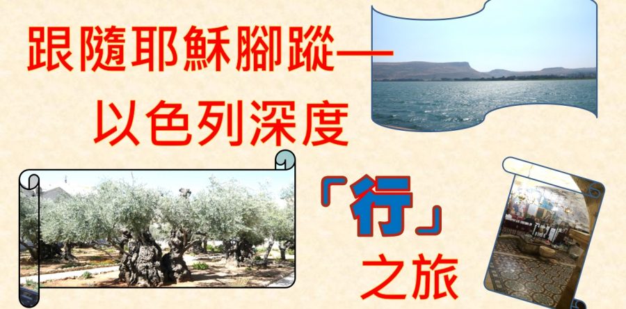 《證主心》251期：培訓事工