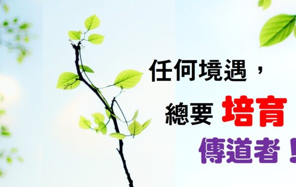 《證主心》253期：展望中華