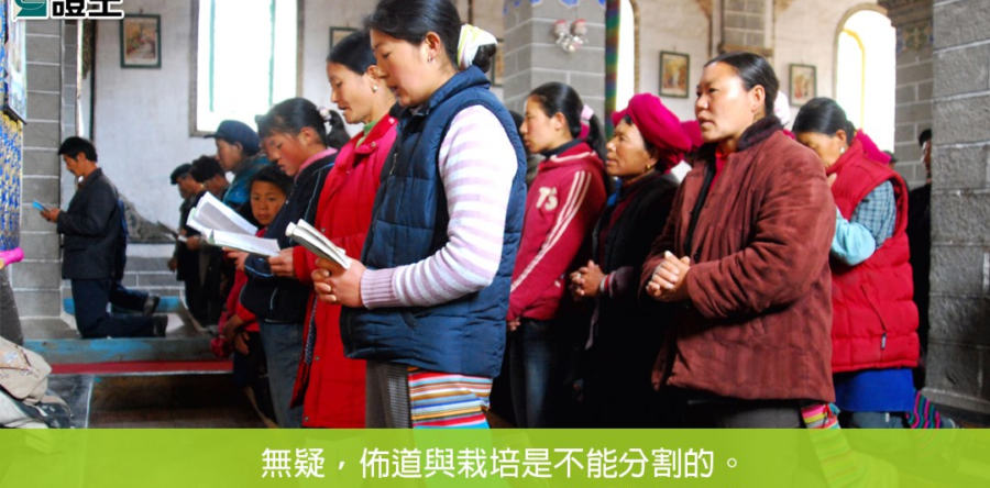 閱讀好書：勉導同行