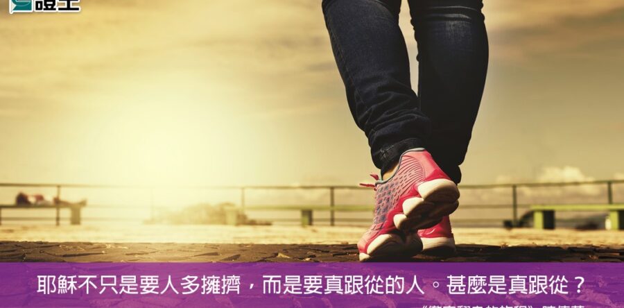 閱讀好書：徹底翻身的旅程