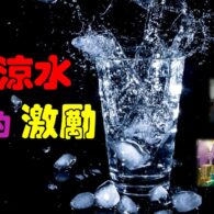 《證主心》257期：回應之聲