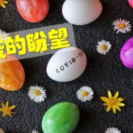 《證主心》260期:封面