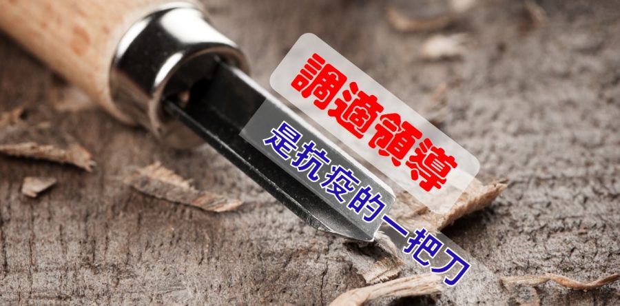 《證主心》262期：專題