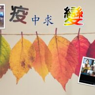 《證主心》262期:回應之聲