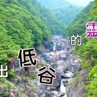 《證主心》262期:培訓事工
