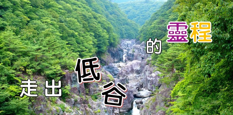《證主心》262期：培訓事工