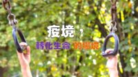 《證主心》263期：凝聚同行力量
