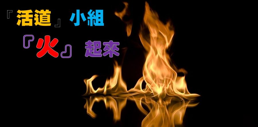 《證主心》264期：展望中華
