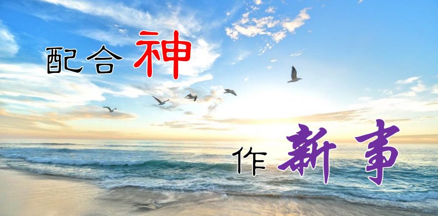 《證主心》265期：專題