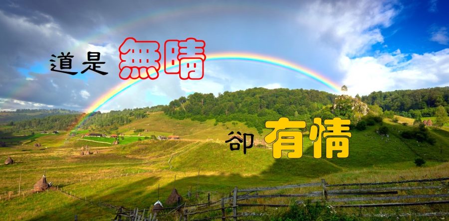 《證主心》266期：封面