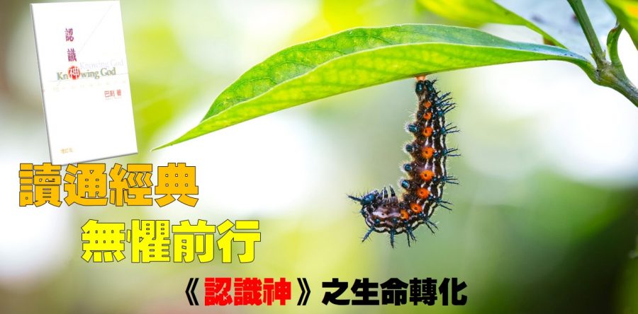 《證主心》266期：專題