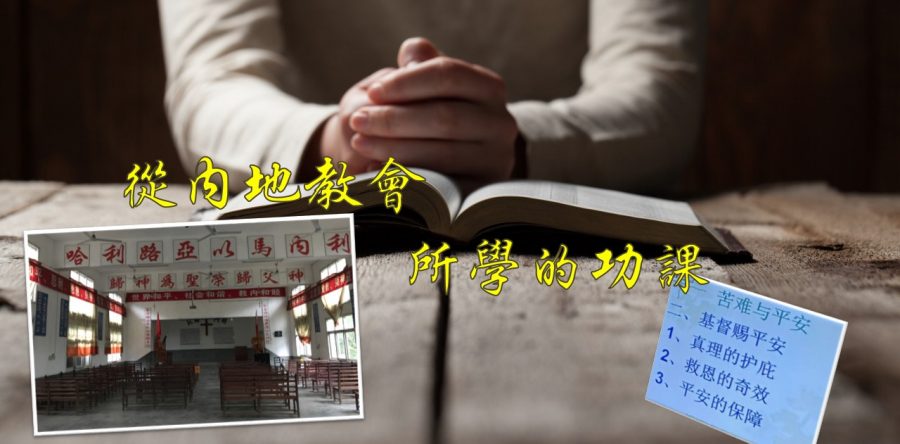 《證主心》268期：展望中華