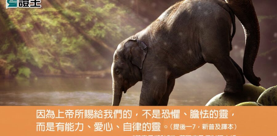 閱讀好書：健康重塑計劃