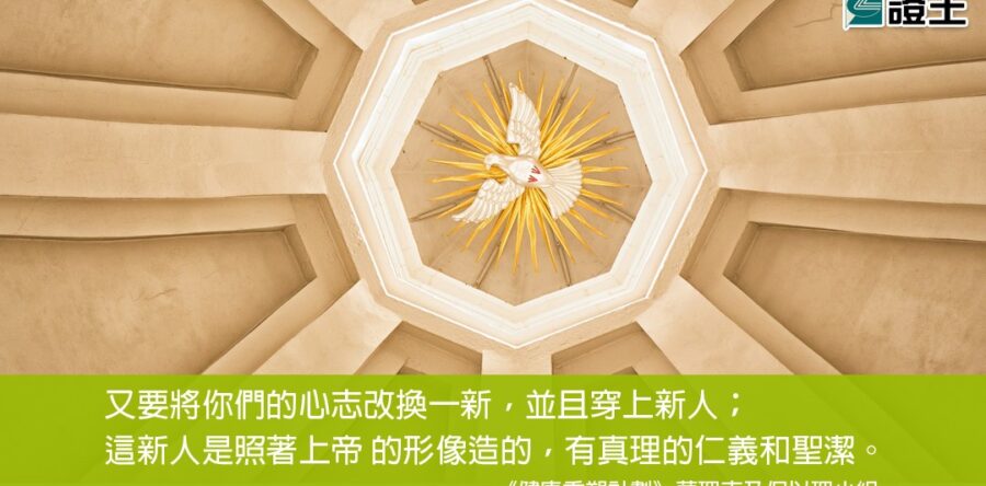 閱讀好書：健康重塑計劃