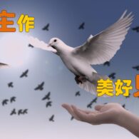 《證主心》269期:封面