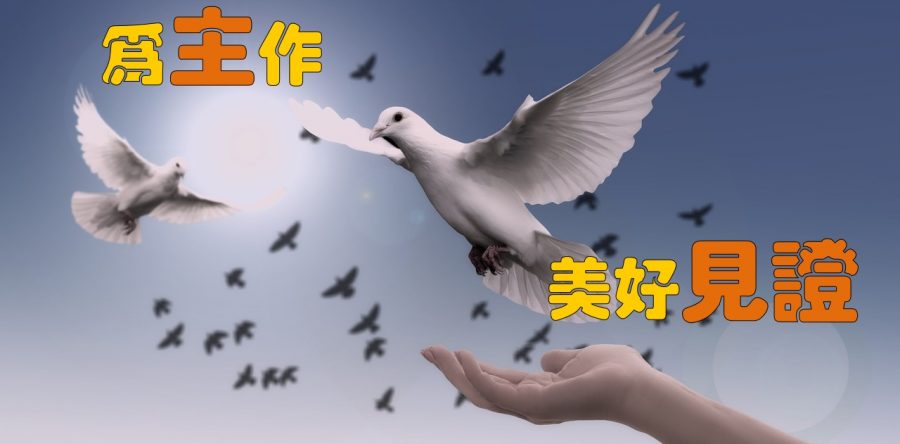 《證主心》269期：封面