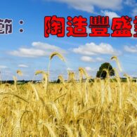 《證主心》273期：專題