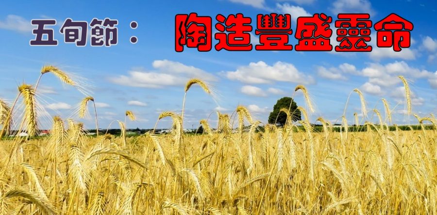 《證主心》273期：專題