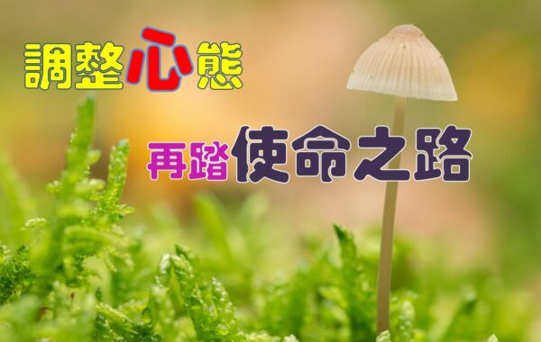 《證主心》274期：封面