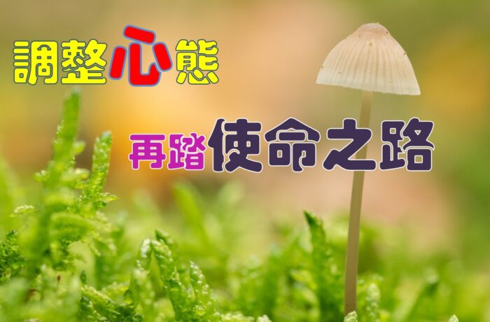 《證主心》274期：封面